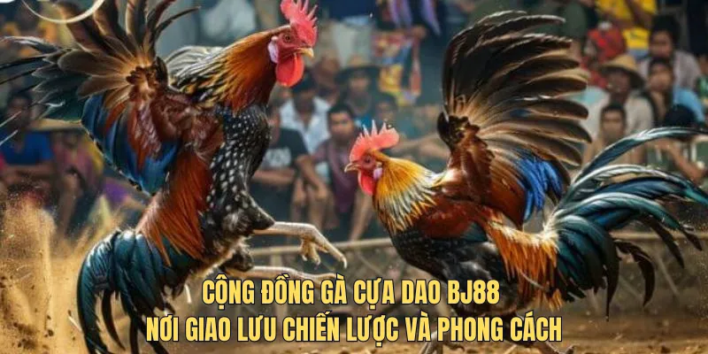 Cộng đồng gà cựa dao bj88 nơi giao lưu chiến lược và phong cách