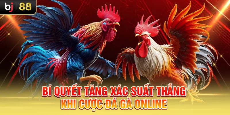 Bí quyết tăng xác suất thắng khi cược đá gà online