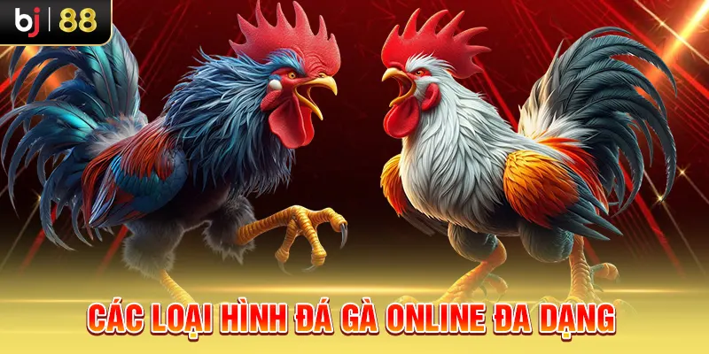 Các loại hình đá gà online đa dạng