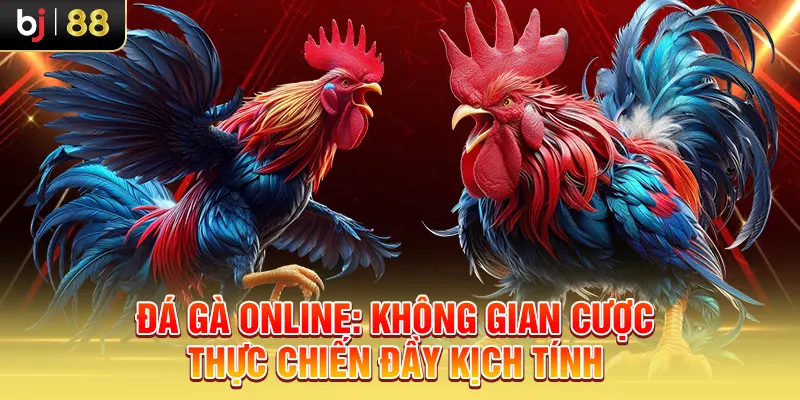Đá Gà Online: Không Gian Cược Thực Chiến Đầy Kịch Tính