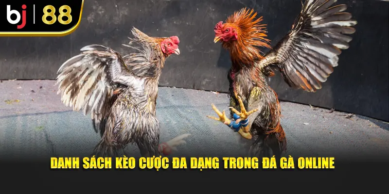 Danh sách kèo cược đa dạng trong đá gà online