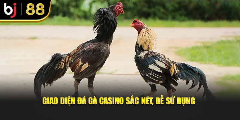 Giao diện đá gà casino sắc nét, dễ sử dụng