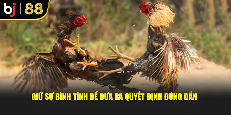 Giữ sự bình tĩnh để đưa ra quyết định đúng đắn