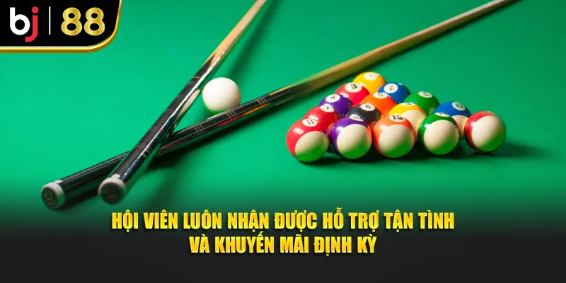 Hội viên luôn nhận được hỗ trợ tận tình và khuyến mãi định kỳ
