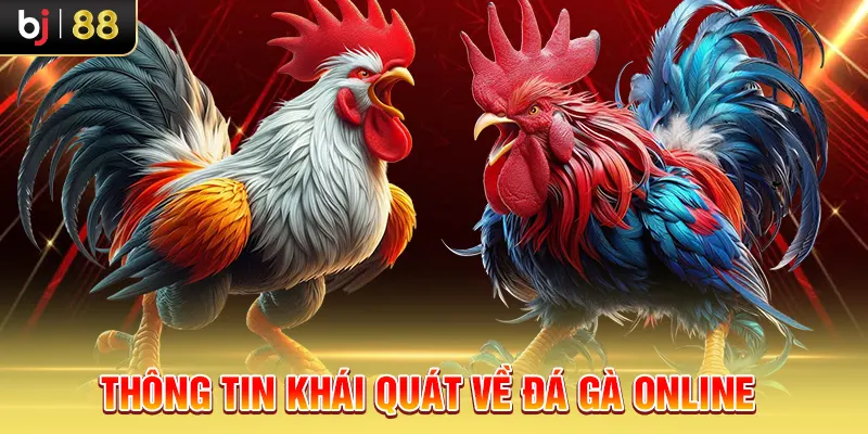 Thông tin khái quát về đá gà online